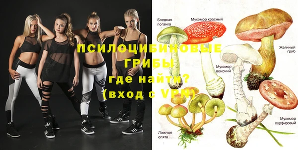 первитин Богданович