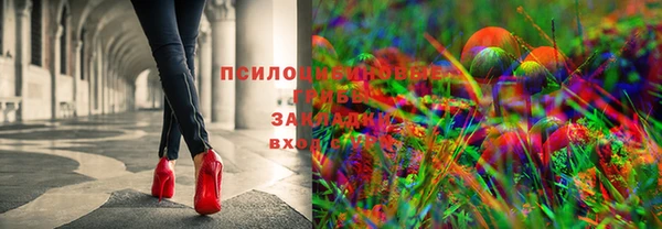 мдма Богородицк