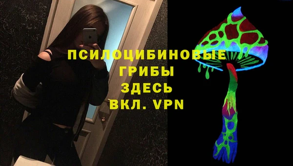 первитин Богданович