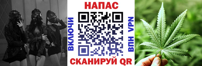 Бошки Шишки гибрид  Ильский 